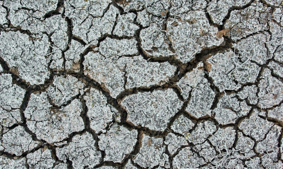 The arid climate and dry mud